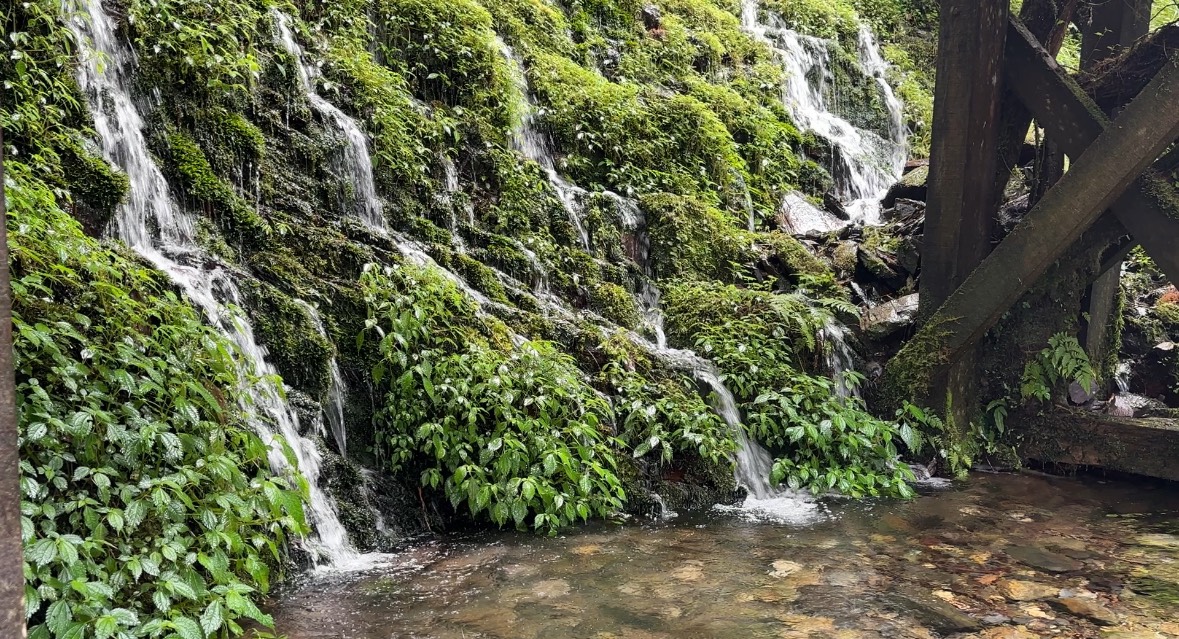 見晴懷古步道清澈的山溪|圖:古婕伶