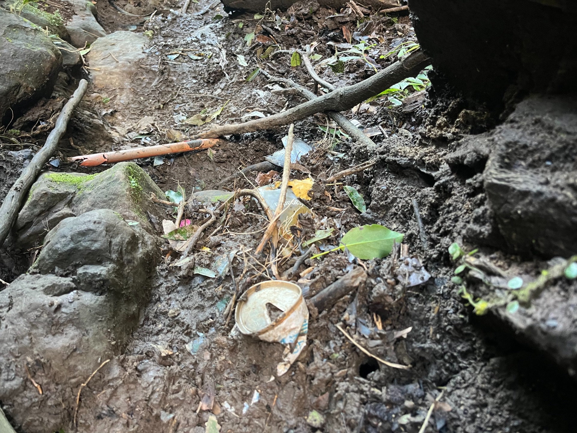 山林間的人為垃圾|圖:張瑋峻